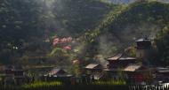 河南旅游文化：青龍山慈云寺第四屆桃花祈福文化節(jié)即將盛大開(kāi)幕！