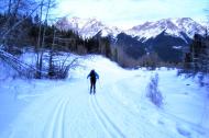 河南旅游市場運(yùn)營：發(fā)展冰雪旅游 讓冰天雪地變成金山銀山